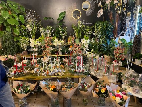 Photo de Macaw's Fleurs