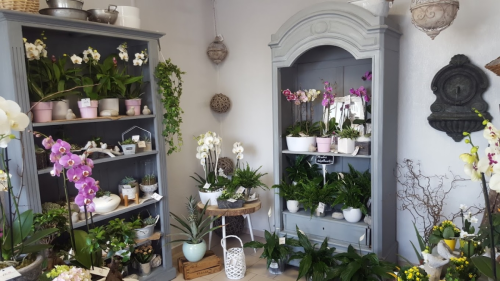 Photo de Madame Fleurs