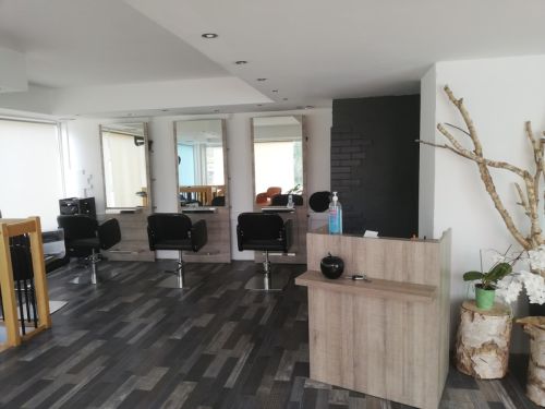 Photo de Les Mams'Elles