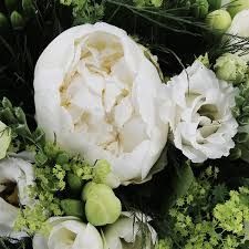 Photo de Nacre et Pivoine