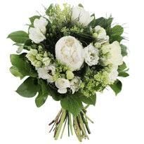 Photo de Nacre et Pivoine