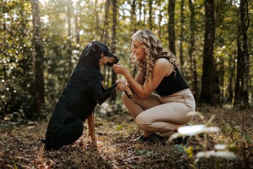 Photo de Noélie Bouquet Photographe