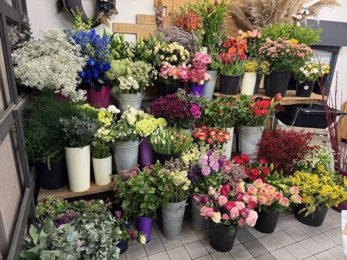 Photo de Clématite Fleurs et Terroir