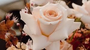 Photo de Nuances Florales