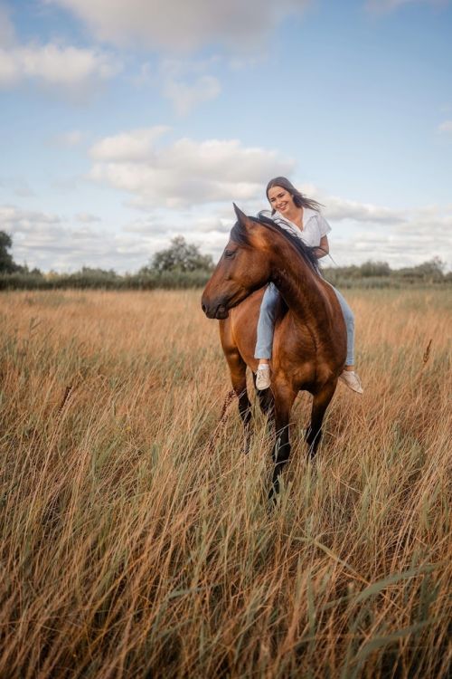 Photo de L'oeil de Sophie 