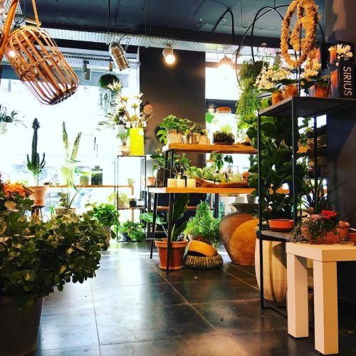 Photo de Décorateur Floral, Olivier Brouillard