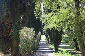 Photo de Château de L'Olivète