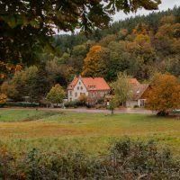 Photo de L'Orangerie du Manoir