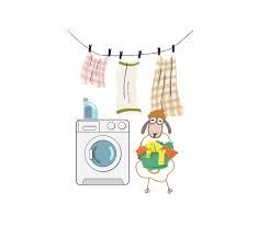 Photo de Mouton Vole