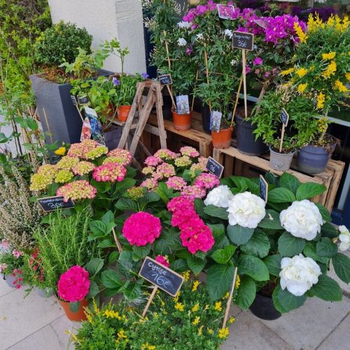 Photo de Mon panier à fleurs