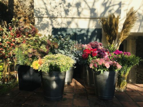 Photo de JE PENSE AUX FLEURS