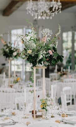 Photo de Petit Point de Tout