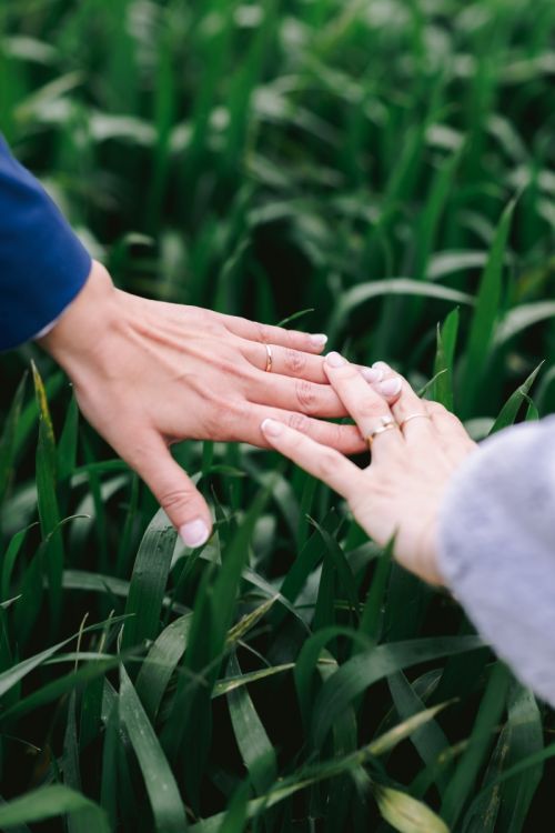 Photo de Nicolas Baudry - Photographe de mariage