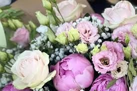 Photo de Mademoiselle Pivoines