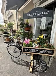 Photo de Mademoiselle Pivoines