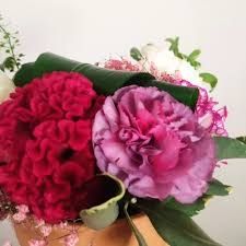 Photo de Plaisir Fleuri