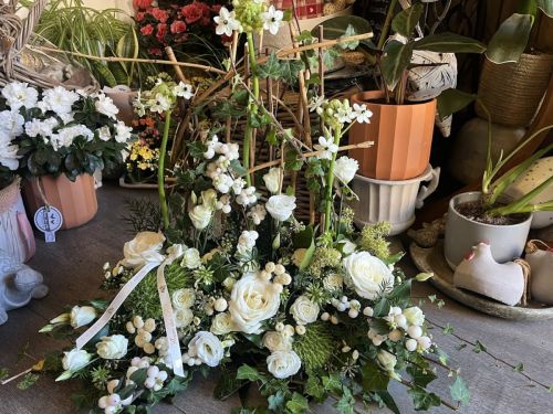 Photo de Aux fleurs des prés