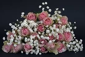 Photo de Les Fleurs de Riton