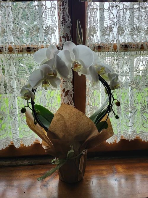 Photo de Le Roi De Fleur