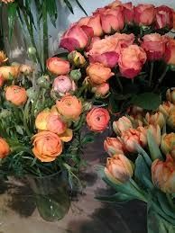 Photo de Allons Voir si la Rose