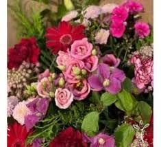 Photo de Allons Voir si la Rose