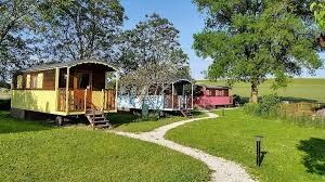 Photo de Les roses de Jonzac