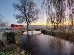 Photo de Les roses de Jonzac