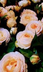 Photo de Rosalie Fleurs
