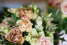 Photo de Sweet Verveine