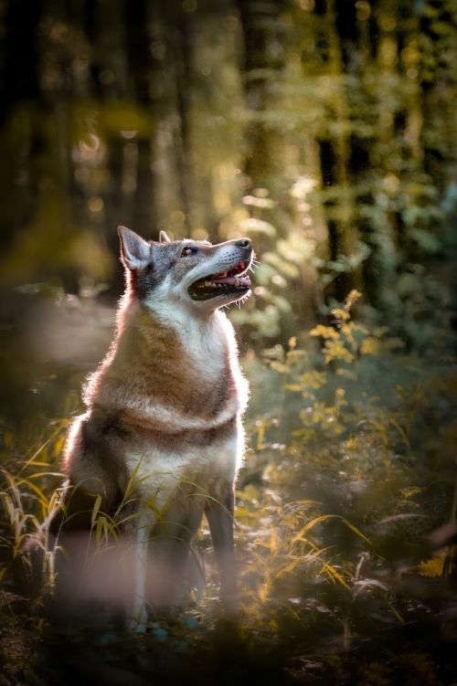 Photo de Tempaw Photographie