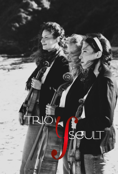 Photo de Trio Yseult, Trio Classiquement Pop