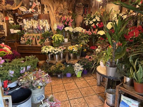 Photo de Chaumière Verte