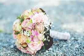 Photo de Fleur de Vie 