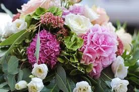 Photo de Fleur de Vie 