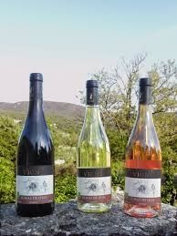 Photo de Domaine Vigne