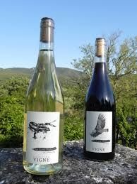 Photo de Domaine Vigne
