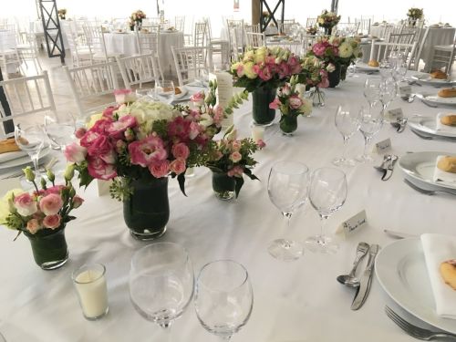 Photo de Voici Des Fleurs